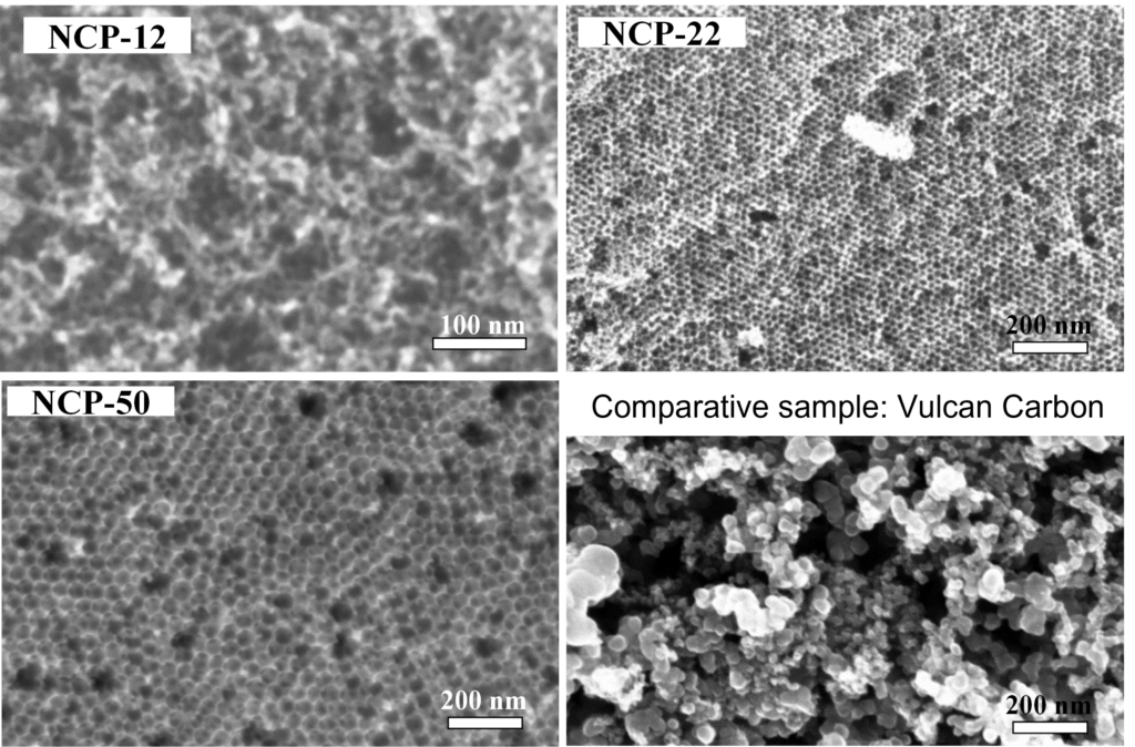 Nanoporous Carbon Powder - Microscopic level